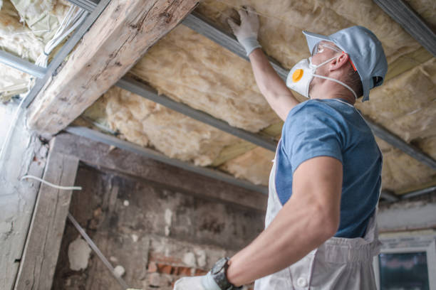 Best Insulation for Specific Applications in Hayden, AL